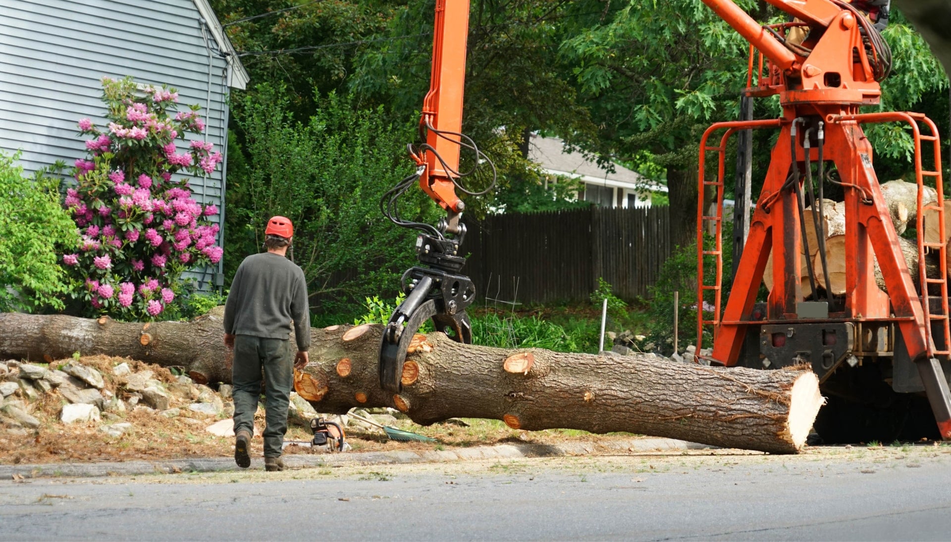 A tree trunk in Chattanooga, Tennessee has fallen by local contractor